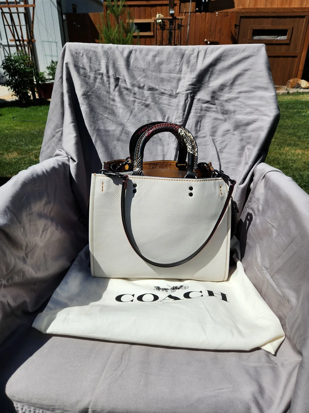 Coach 1941 Rogue 30 Snakeskin Handle Tote Bag